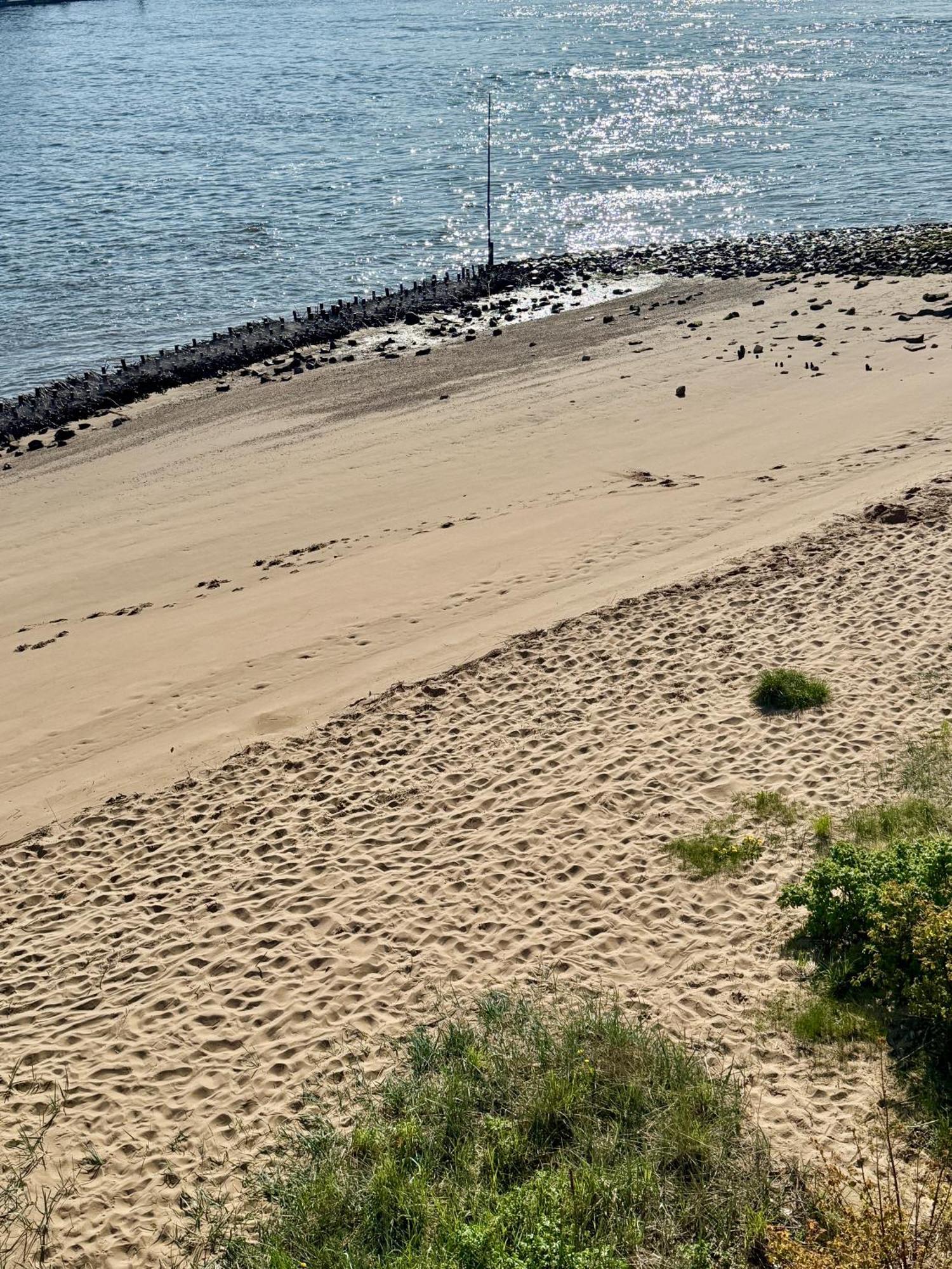 ברנה Gaestehaus Weserblick Am Weser-Sandstrand מראה חיצוני תמונה