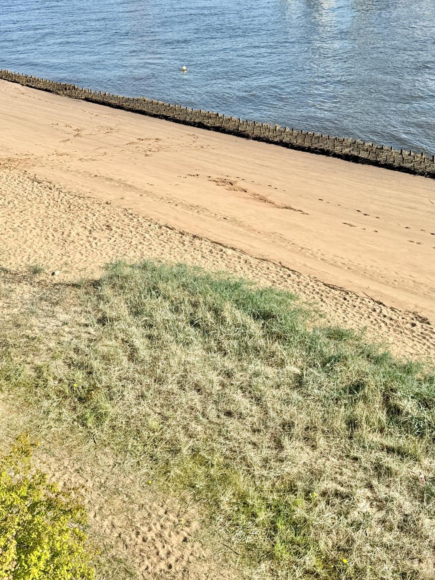 ברנה Gaestehaus Weserblick Am Weser-Sandstrand מראה חיצוני תמונה